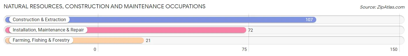 Natural Resources, Construction and Maintenance Occupations in Rye