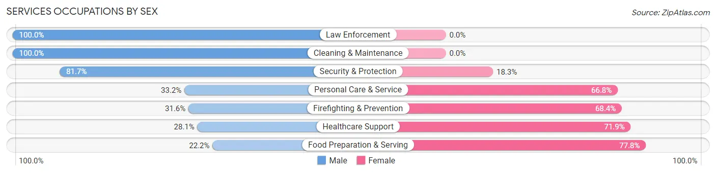 Services Occupations by Sex in Rye