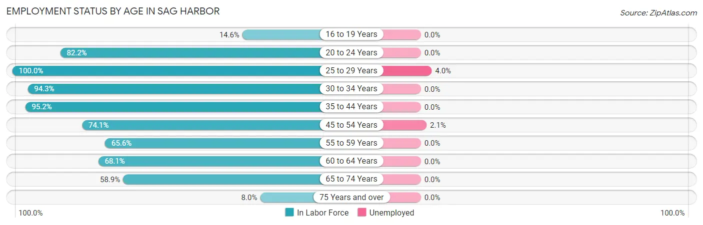 Employment Status by Age in Sag Harbor