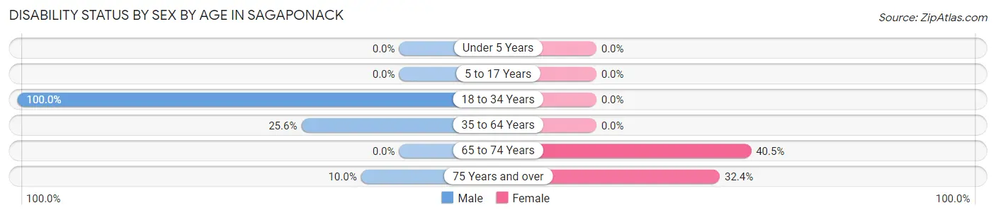 Disability Status by Sex by Age in Sagaponack