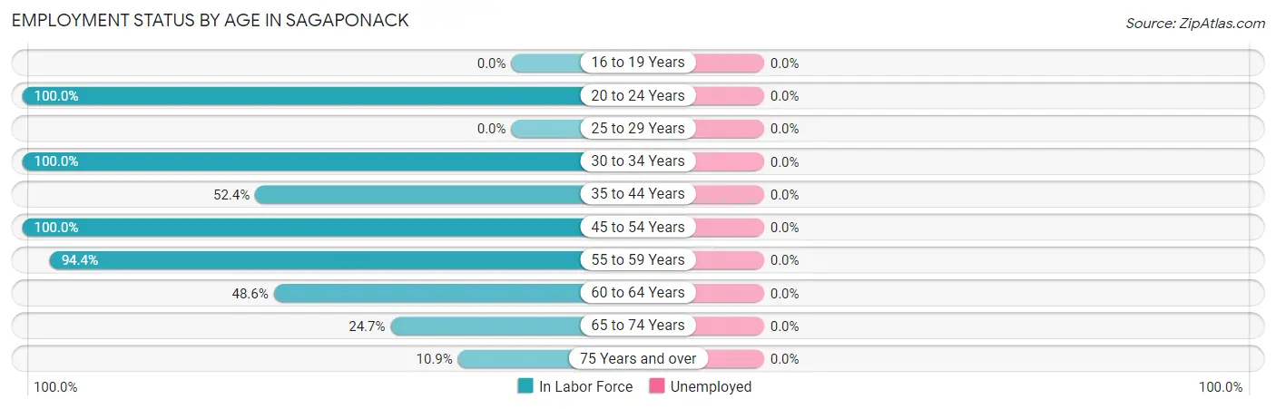Employment Status by Age in Sagaponack