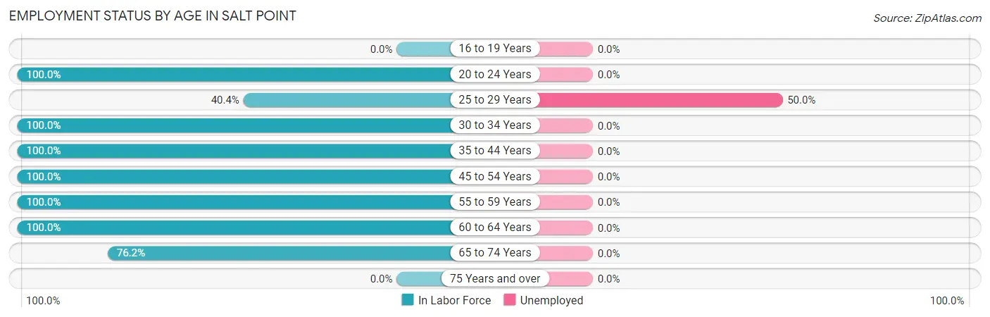 Employment Status by Age in Salt Point