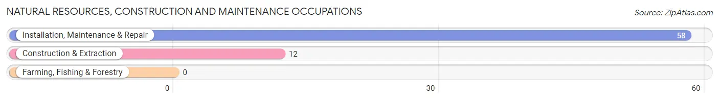 Natural Resources, Construction and Maintenance Occupations in Saugerties South