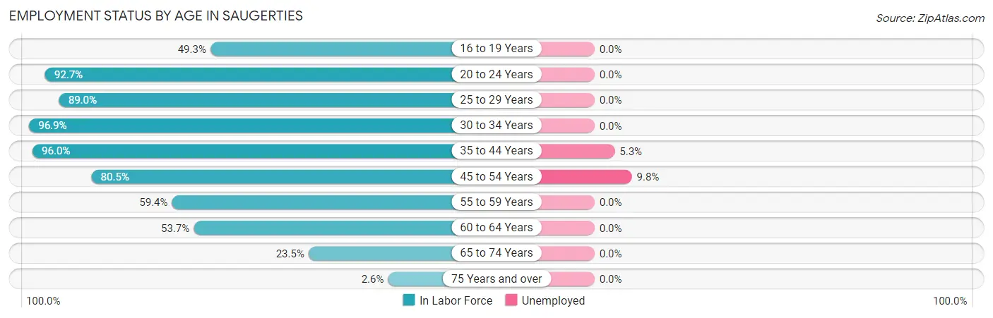 Employment Status by Age in Saugerties