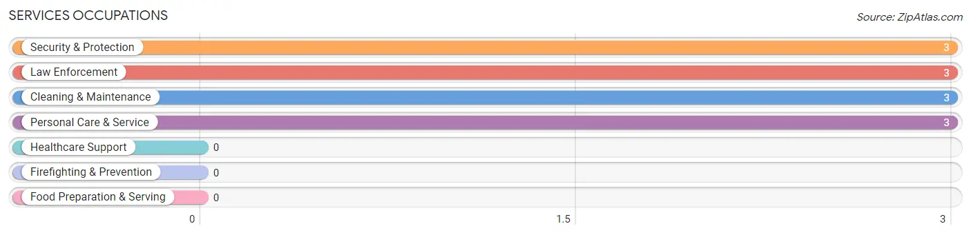 Services Occupations in Savannah