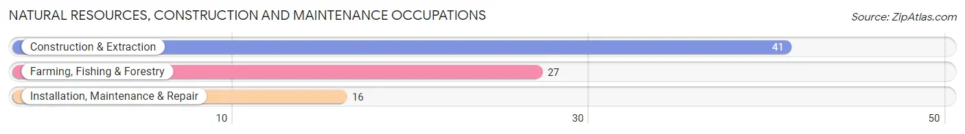 Natural Resources, Construction and Maintenance Occupations in Scarsdale