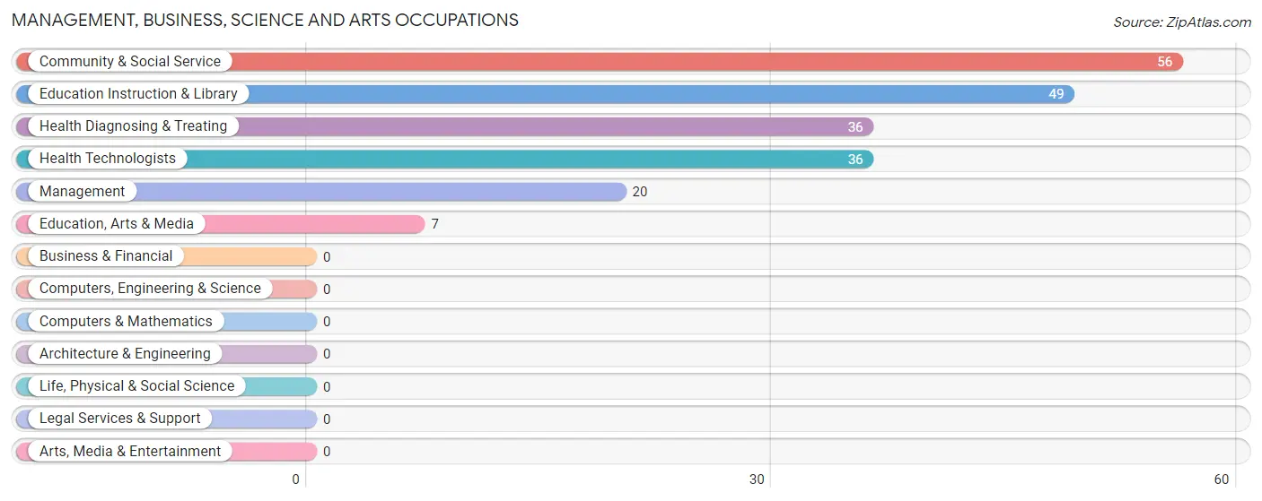 Management, Business, Science and Arts Occupations in Schenevus