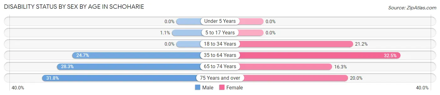 Disability Status by Sex by Age in Schoharie