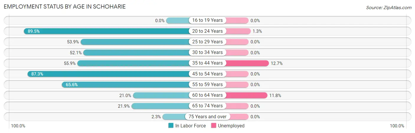 Employment Status by Age in Schoharie
