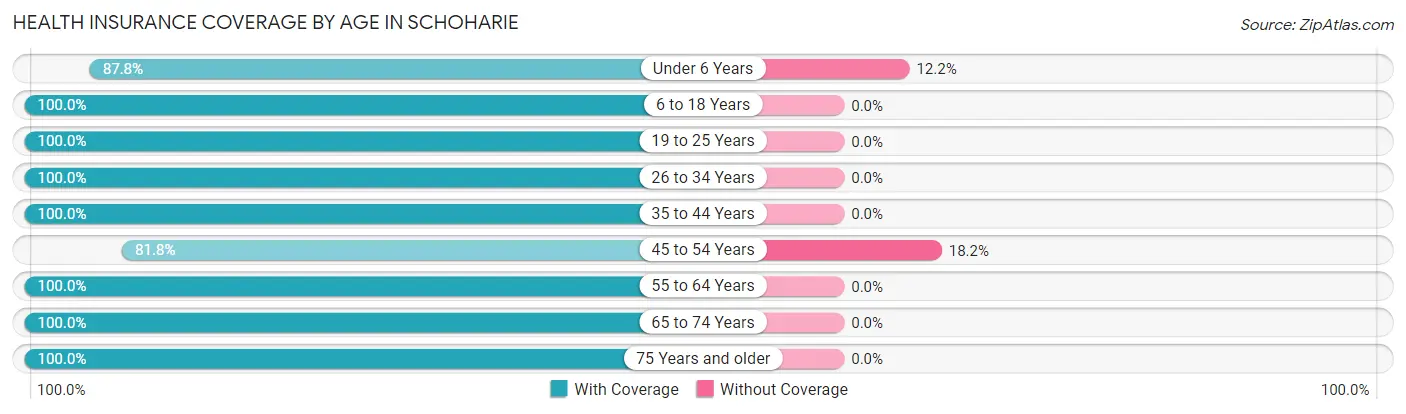 Health Insurance Coverage by Age in Schoharie