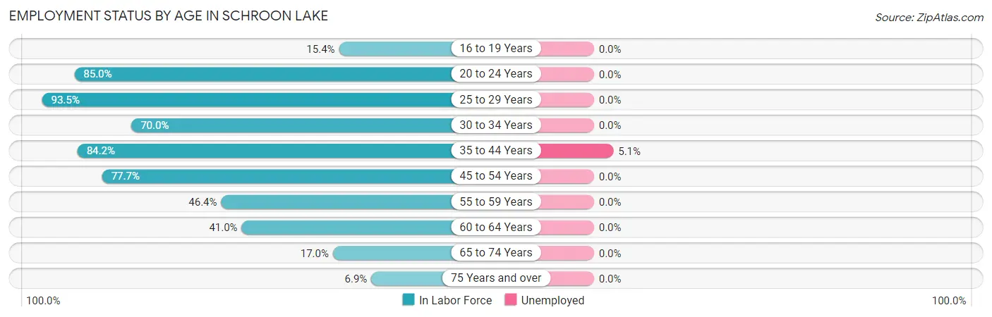 Employment Status by Age in Schroon Lake