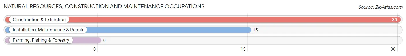 Natural Resources, Construction and Maintenance Occupations in Schroon Lake