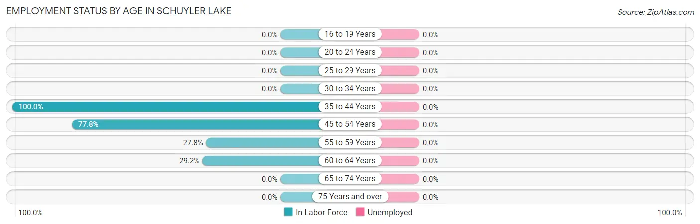 Employment Status by Age in Schuyler Lake