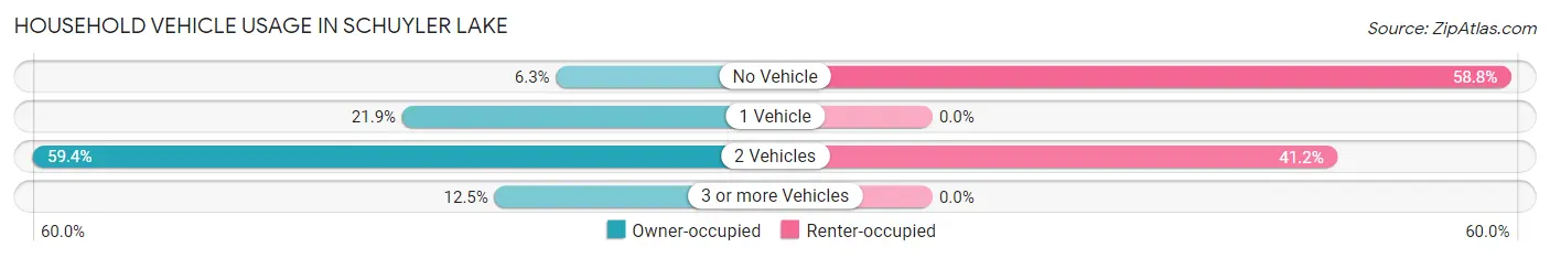 Household Vehicle Usage in Schuyler Lake