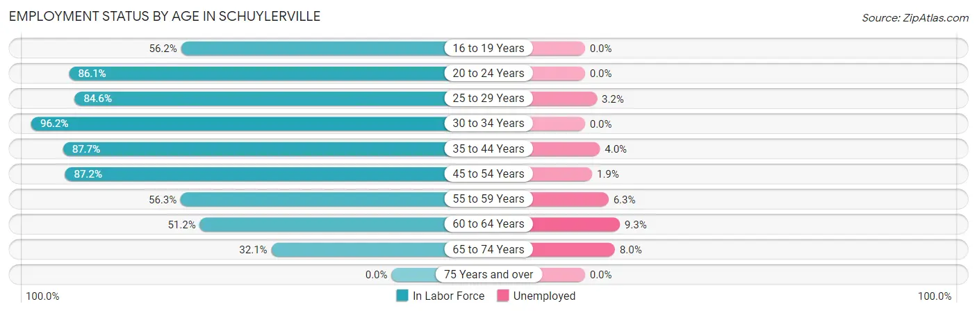 Employment Status by Age in Schuylerville