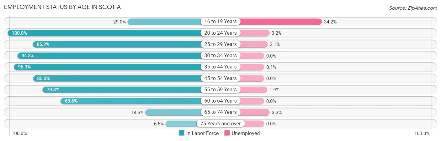 Employment Status by Age in Scotia