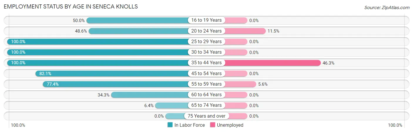 Employment Status by Age in Seneca Knolls