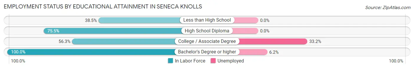 Employment Status by Educational Attainment in Seneca Knolls