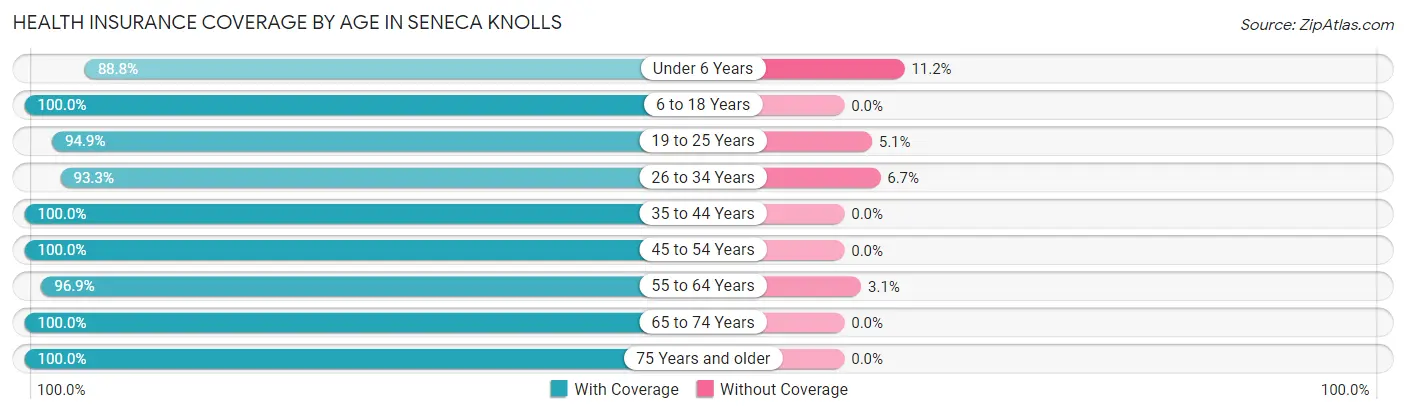 Health Insurance Coverage by Age in Seneca Knolls