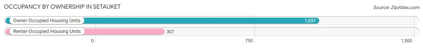 Occupancy by Ownership in Setauket