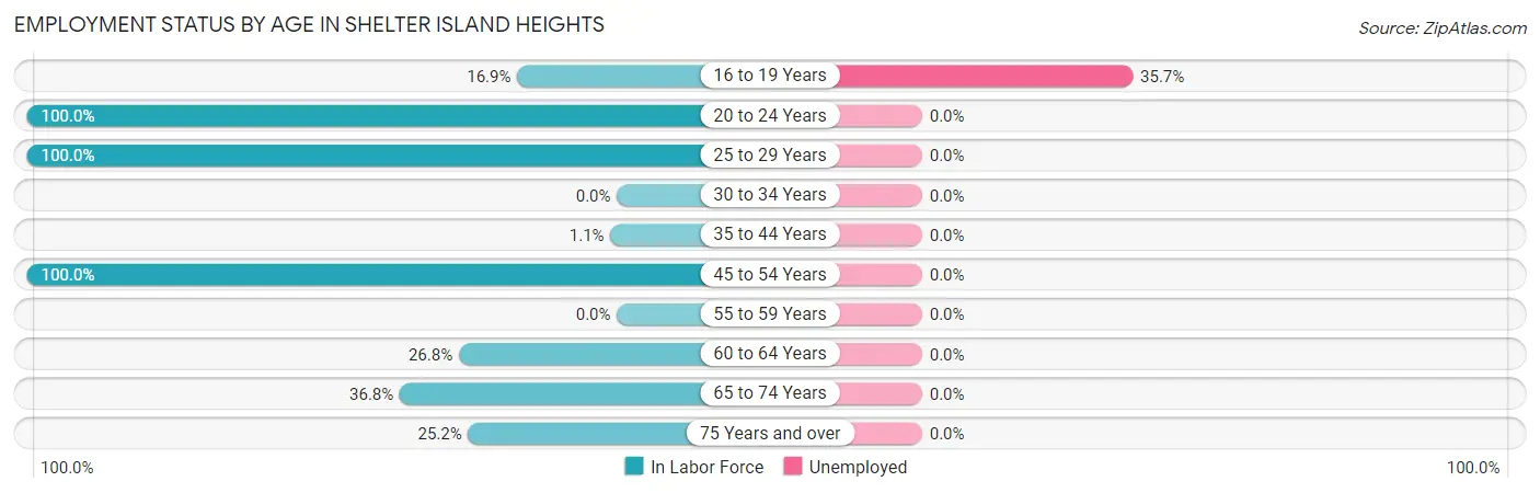 Employment Status by Age in Shelter Island Heights