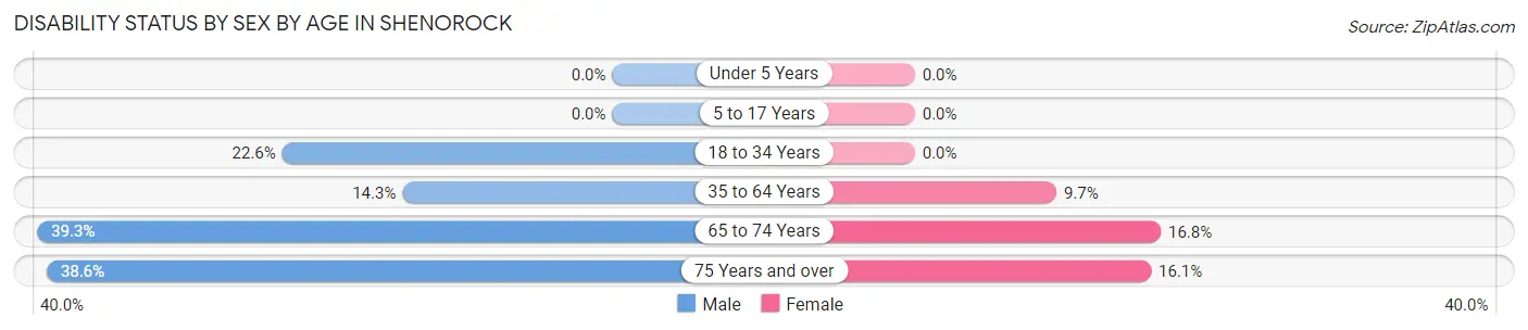Disability Status by Sex by Age in Shenorock