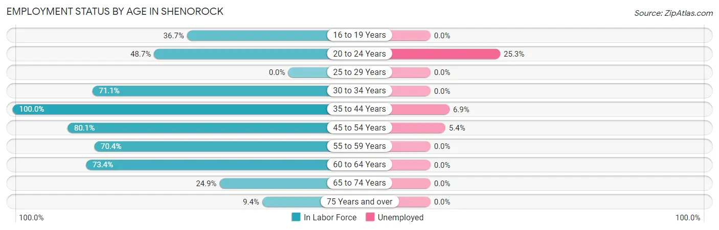 Employment Status by Age in Shenorock