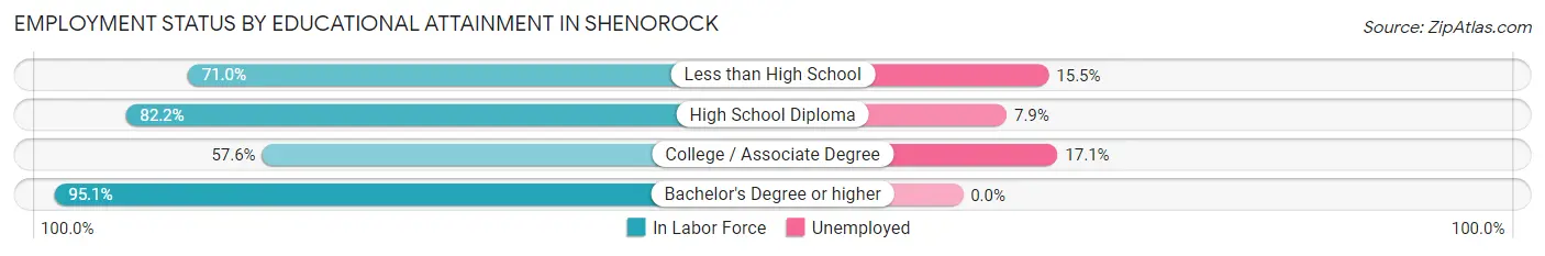 Employment Status by Educational Attainment in Shenorock