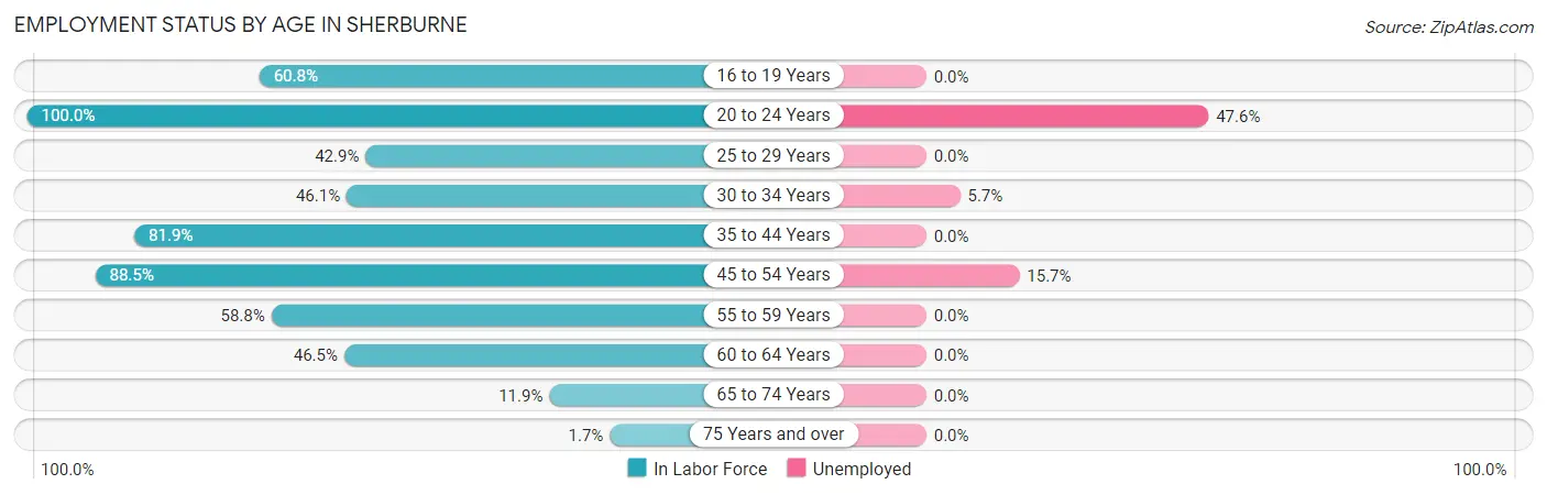 Employment Status by Age in Sherburne