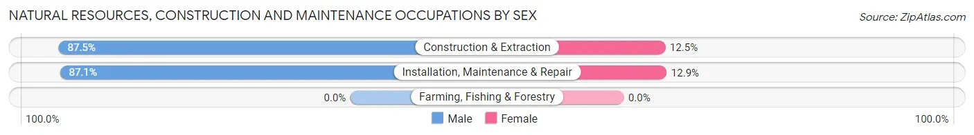 Natural Resources, Construction and Maintenance Occupations by Sex in Sherburne