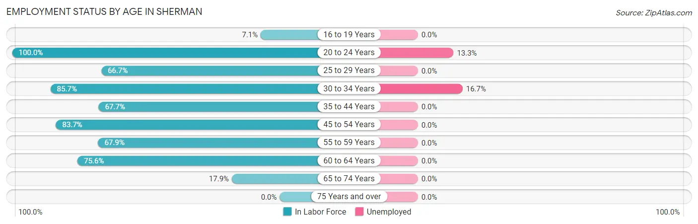 Employment Status by Age in Sherman