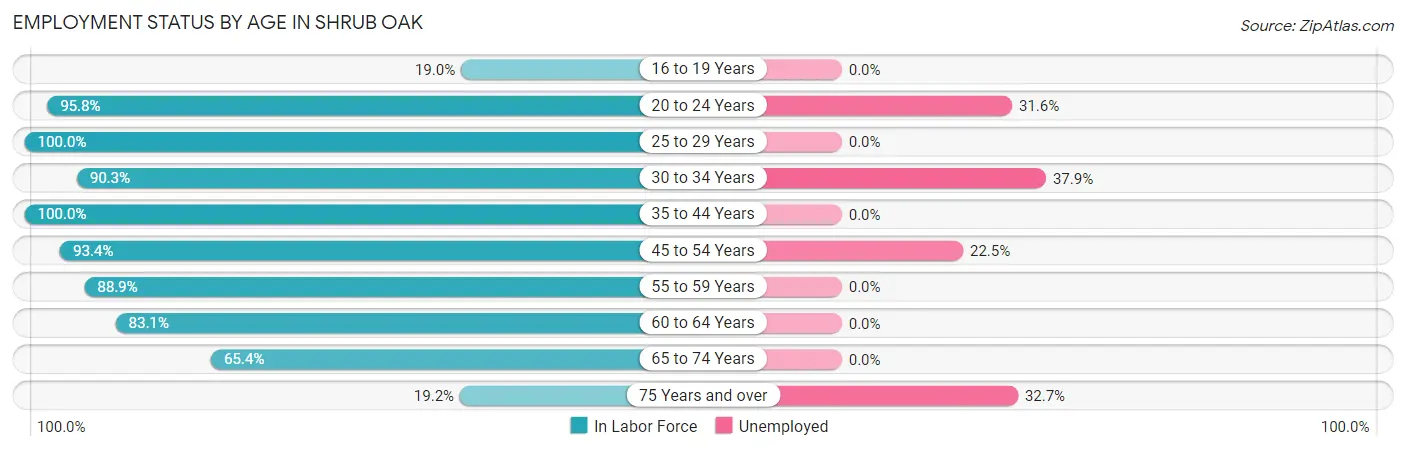 Employment Status by Age in Shrub Oak
