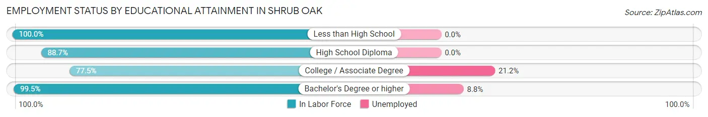 Employment Status by Educational Attainment in Shrub Oak