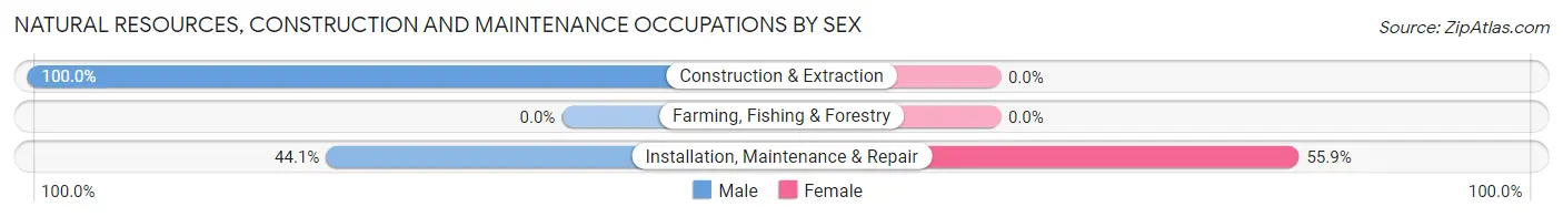 Natural Resources, Construction and Maintenance Occupations by Sex in Shrub Oak