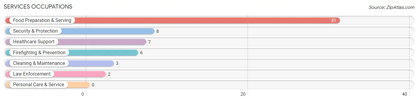 Services Occupations in Silver Springs