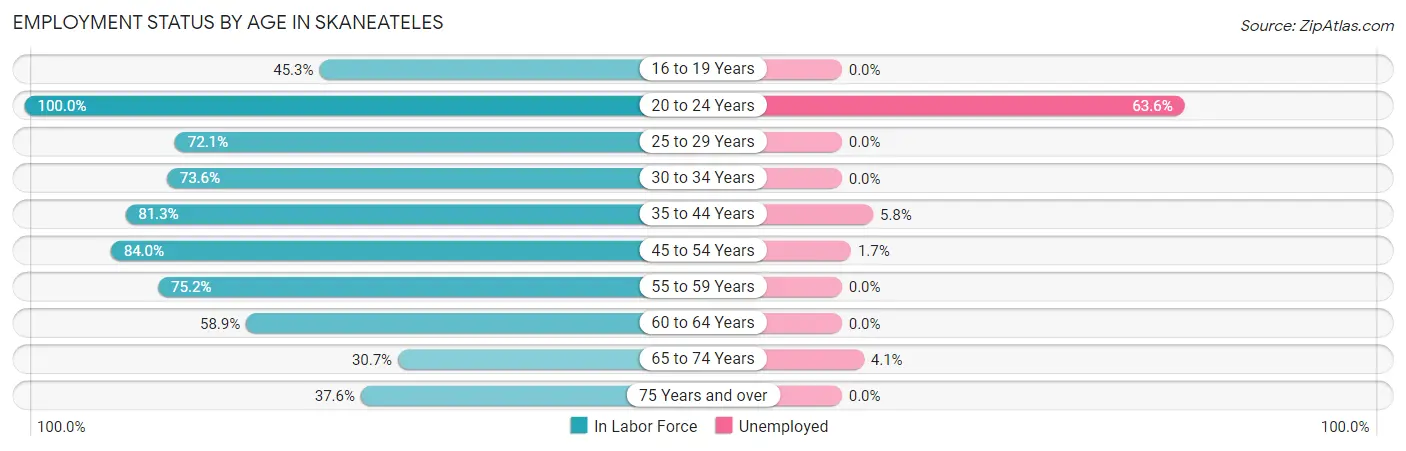 Employment Status by Age in Skaneateles