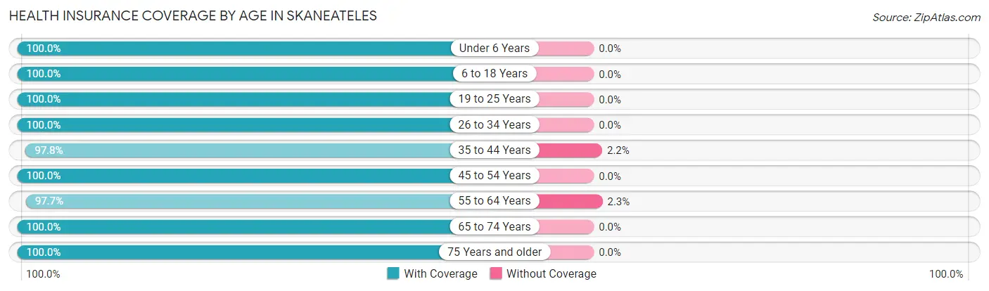 Health Insurance Coverage by Age in Skaneateles