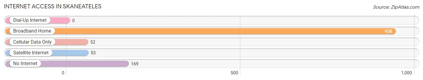 Internet Access in Skaneateles
