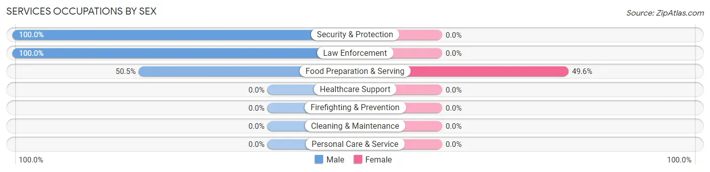 Services Occupations by Sex in Sleepy Hollow Lake