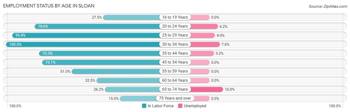 Employment Status by Age in Sloan