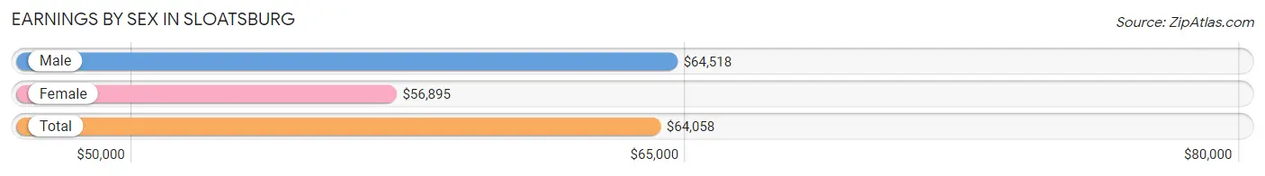 Earnings by Sex in Sloatsburg