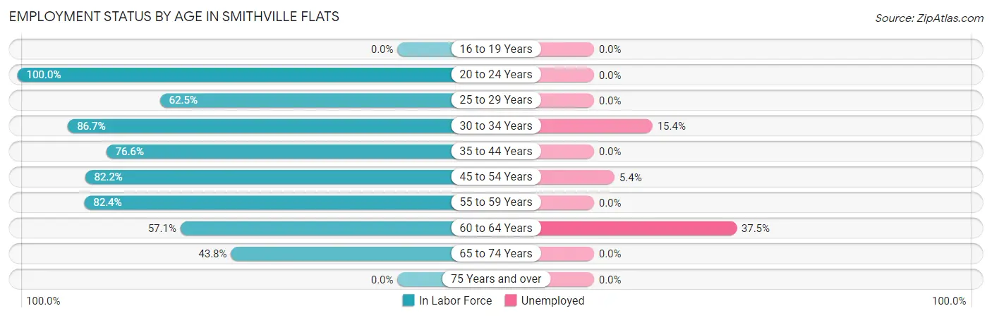 Employment Status by Age in Smithville Flats