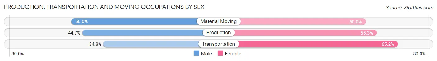 Production, Transportation and Moving Occupations by Sex in Smithville Flats