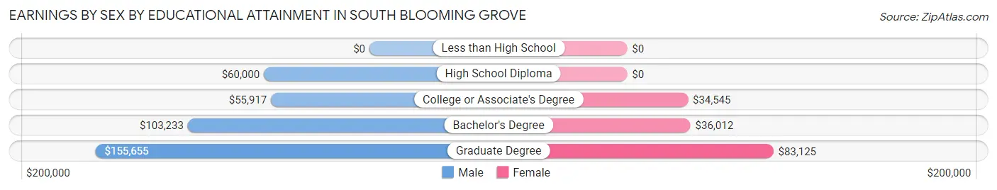 Earnings by Sex by Educational Attainment in South Blooming Grove