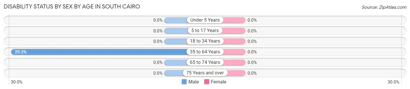 Disability Status by Sex by Age in South Cairo