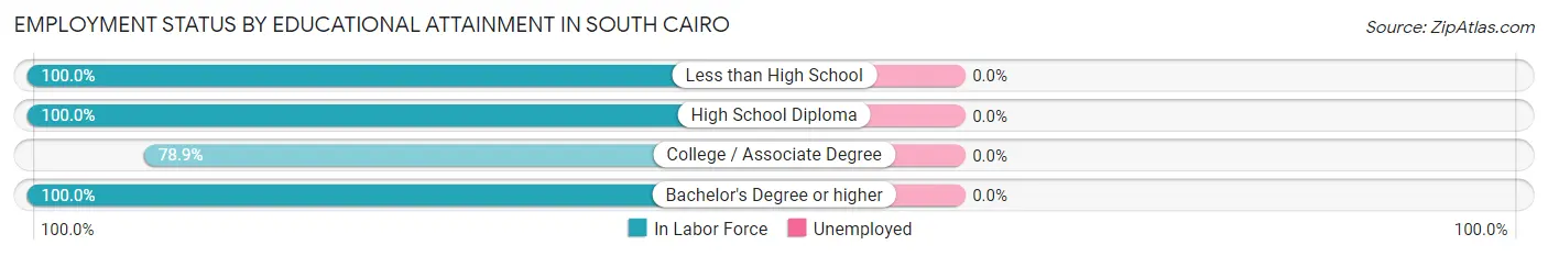 Employment Status by Educational Attainment in South Cairo
