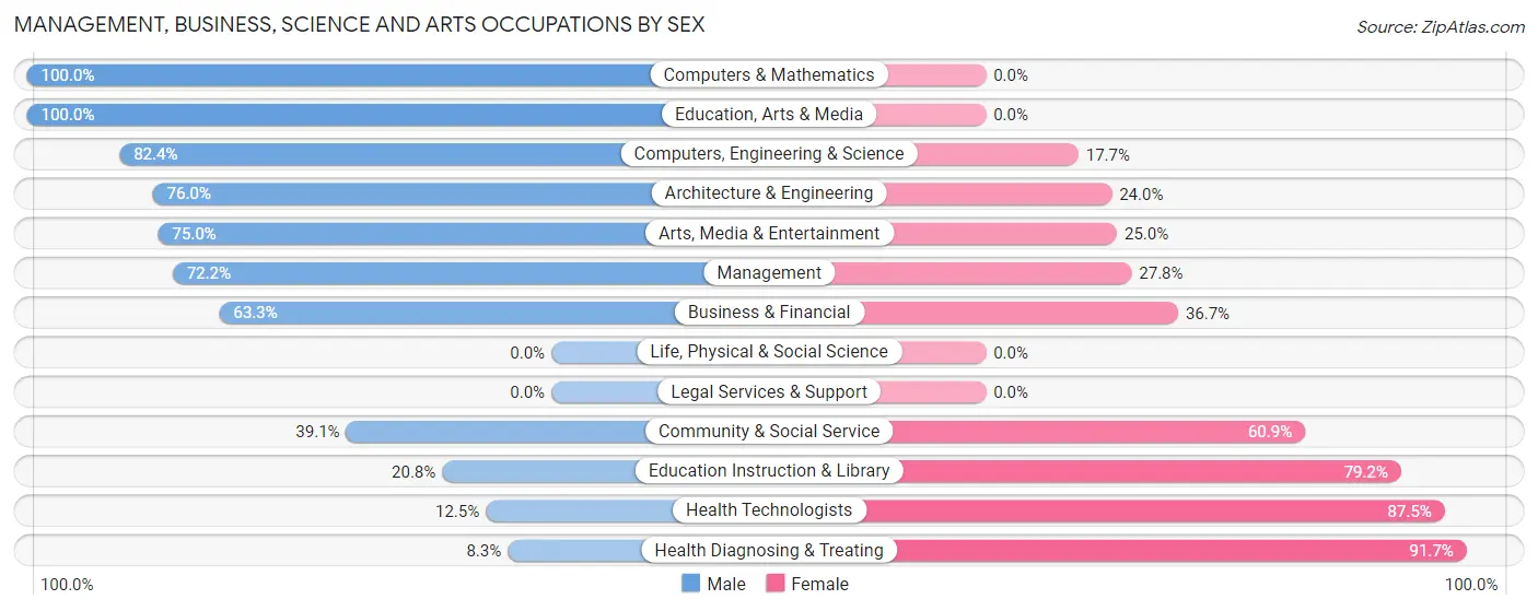 Management, Business, Science and Arts Occupations by Sex in South Corning