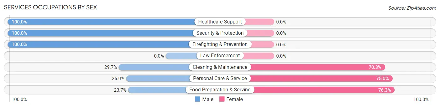 Services Occupations by Sex in South Corning