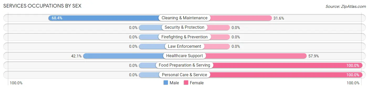 Services Occupations by Sex in South Dayton