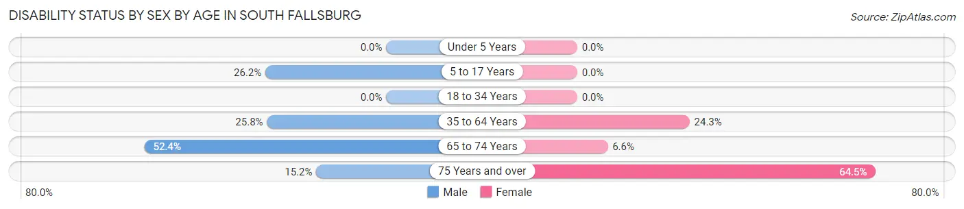 Disability Status by Sex by Age in South Fallsburg